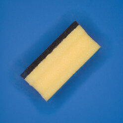 Sponge, elevated view - MUF00662