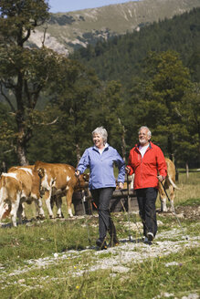 Austria, Karwendel, Senior couple nordic walking - WESTF10551