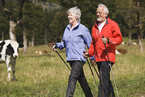 Austria, Karwendel, Senior couple nordic walking - WESTF10548