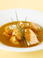 Fischsuppe mit Curry und Schnittlauch, Nahaufnahme - KSWF00205