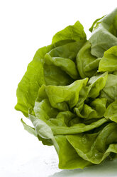 Lettuce (Lactuca sativa var. capitata), close up - MAEF01325