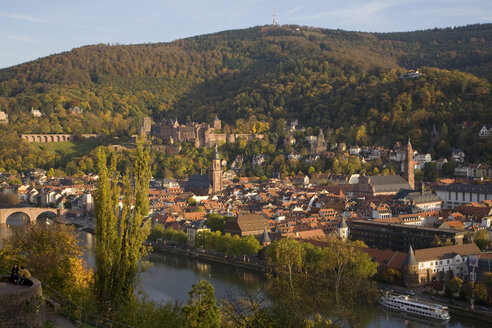 Deutschland, Baden-Württemberg, Heidelberg, Blick über Stadt und Fluss - WDF00407