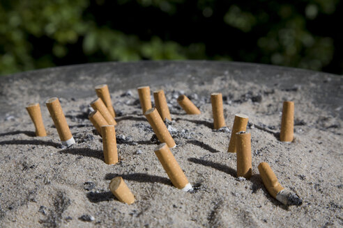Aschtray, Zigarettenknospen im Sand, Nahaufnahme - WDF00361