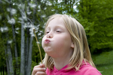 Little girl (6-7) blowing dandelions, close up - GNF01050