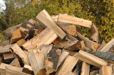 Pile of Firewood, close-up - CRF01529