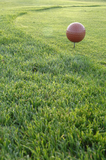 Golfball auf dem Golfplatz, Nahaufnahme - CRF01525