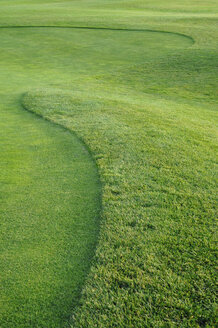 Rasen des Golfplatzes, Vollbild - CRF01524