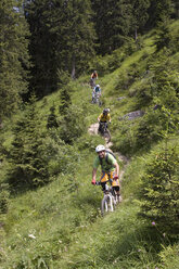 Germany, Bavaria, Chiemgau, Four men mountain biking on forest track - FFF00943