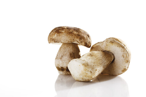 Two Ceps, close up - 09942CS-U