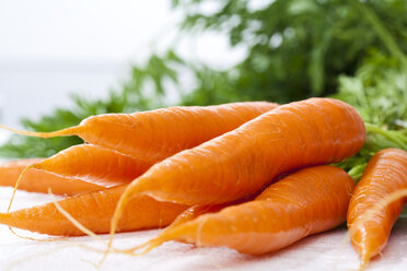 Bunch of fresh carrots, close up - MAEF01353