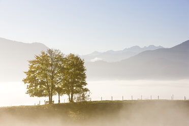 Deutschland, Bayern, Nebel über Landschaft, die Alpen im Hintergrund - FOF01316