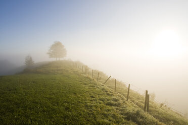 Germany, Bavaria, Pasture land, fence and fog - FOF01308