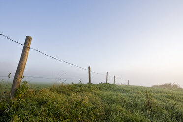 Germany, Bavaria, Barbwire fence with fog - FOF01307