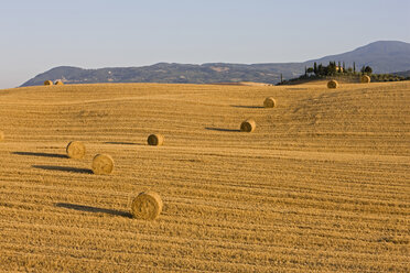 Italien, Toskana, Strohballen auf Maisfeld, Gehöft im Hintergrund - FOF01286