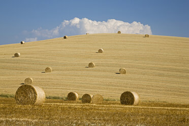 Italy, Tuscany, Bales of straw on corn fields - FOF01284