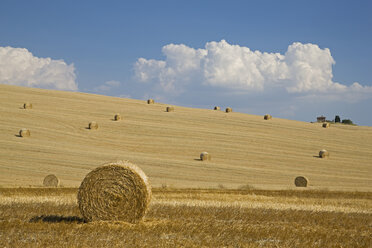 Italien, Toskana, Strohballen auf abgeernteten Maisfeldern - FOF01283