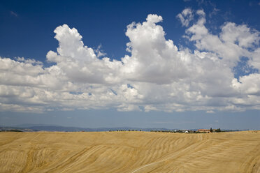 Italien, Toskana, Val d'Orcia, Maisfelder, Gehöft im Hintergrund - FOF01272