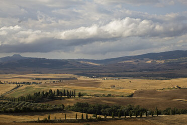 Italy, Tuscany, Val d'Orcia, Hilly landscape with cypress trees - FOF01270