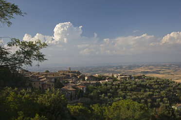 Italien, Toskana, Montalcino - FOF01265