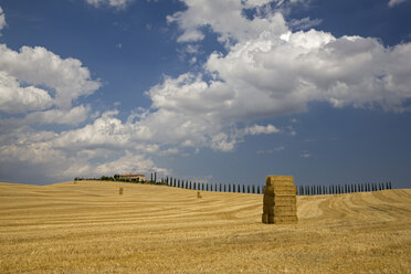 Italien, Toskana, Strohballen auf Maisfeld - FOF01259