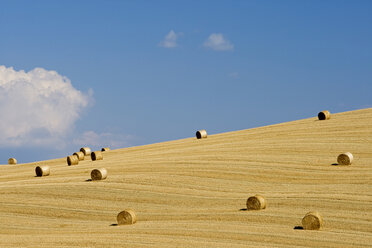 Italy, Tuscany, Bales of straw on corn field - FOF01256