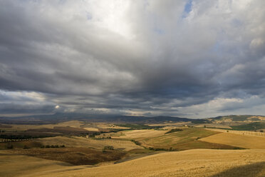 Italien, Toskana, Abgeerntete Maisfelder und Gewitterwolken - FOF01245