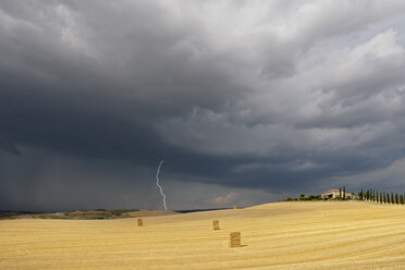 Italy, Tuscany, Thunderclouds over corn fields - FOF01242