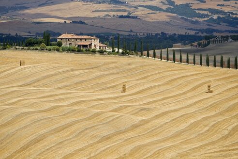 Italien, Toskana, Abgeerntetes Maisfeld, Gehöft im Hintergrund - FOF01241