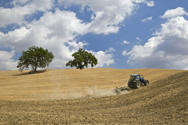 Italien, Toskana, Traktor auf Maisfeld - FOF01237