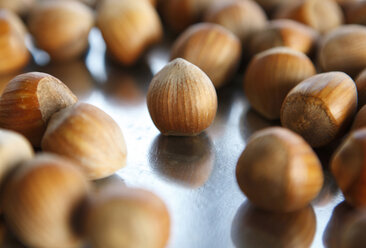 Hazelnuts, close-up - KSWF00290