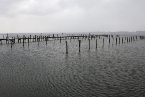 Deutschland, Bayern, Prien, Chiemsee, Holzpfähle im Wasser - FFF01043