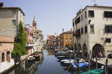 Italy, Chioggia, Vena Canal, Fishing harbor - WWF00353