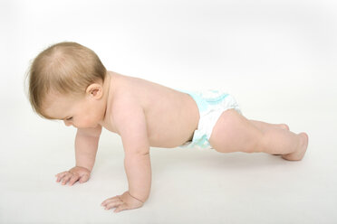 Baby Mädchen (6-12 Monate) krabbelnd - TCF01153