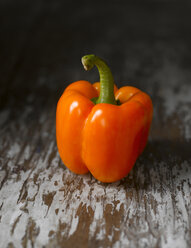 Orange bell pepper - KSW00337