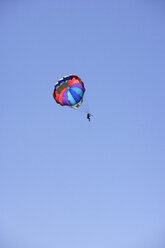 Sky diver, low angle view - WWF00753