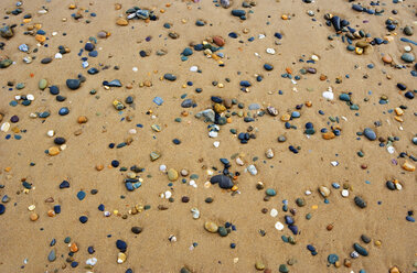 Pebbles on shore, full frame - WWF00725