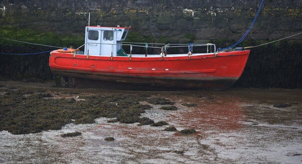 Irland, Motorboot im Hafen - WWF00722