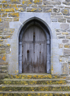 Ireland, Old wooden door - WWF00719