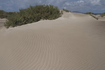 Spain, Lanzarote, El Jable, Desert dunes - UMF00270