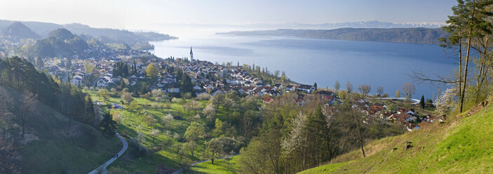 Germany, Lake Constance, Sipplingen, Panoramic view - SHF00264