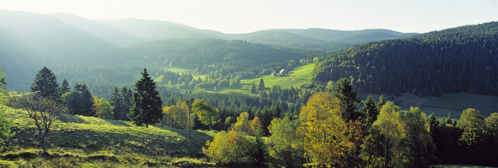 Deutschland, Baden-Württemberg, Schwarzwald, Waldgebiet, Feldberg im Hintergrund - SH00313