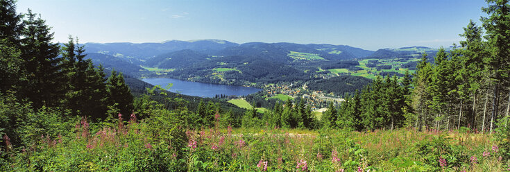 Deutschland, Baden-Württemberg, Schwarzwald, Titisee im Hintergrund - SH00312