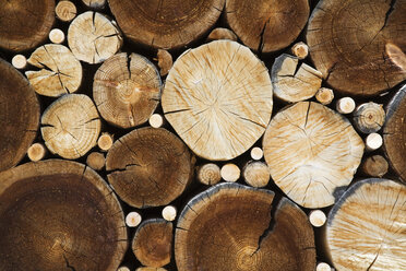 Stack of logs, full frame, close up - GWF00942