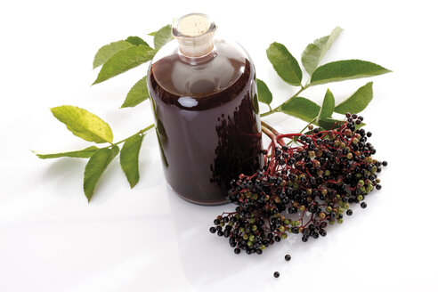 Holunderwein und Schwarzer Holunder (Sambucus nigra), Ansicht von oben - 10161CS-U