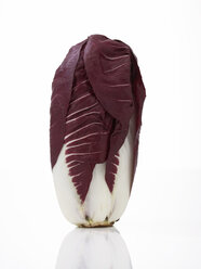 Radicchio-Salat, Nahaufnahme - AKF00109