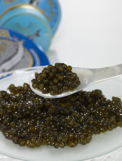 Ossietra-Kaviar auf Löffel, Nahaufnahme - AKF00071
