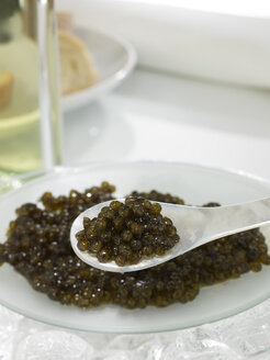 Ossietra caviar on spoon, elevated view - AKF00070