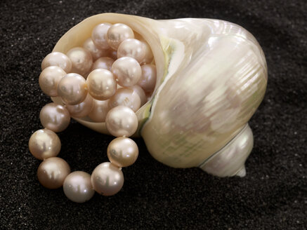 Perlenhalsband in Muschelform, Ansicht von oben - AKF00018