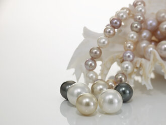 Perlenkette und Perlen mit Nautilus - AKF00014
