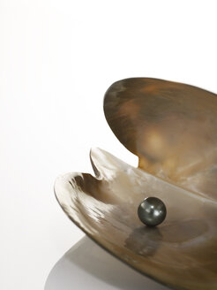 Schwarze Perle in Muschel - AKF00007